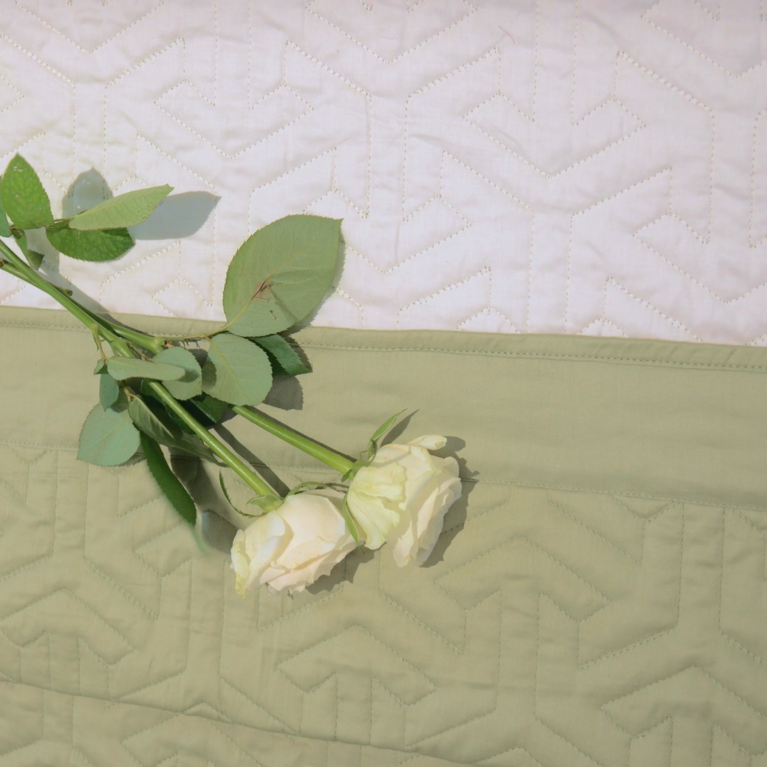 Rootz Reversible Quilted Bedspread (Set of 6) - Image 2